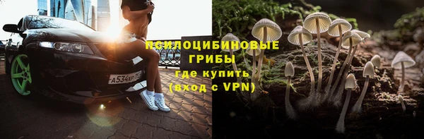 сатива Алзамай