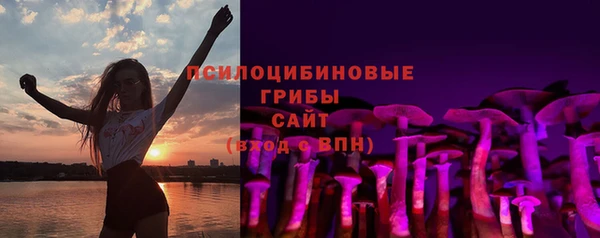 сатива Алзамай